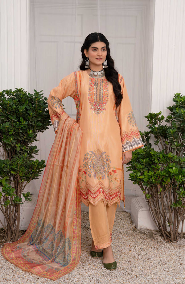 3pc Organza suit with organza scarf