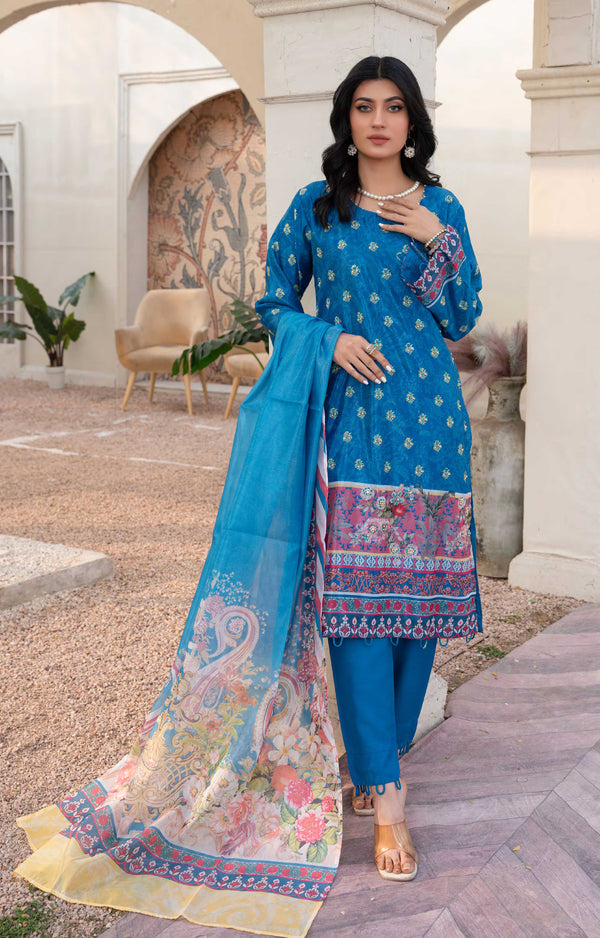 3pc Organza suit with organza scarf