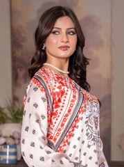 Luxury 2pc silk  Baige red blue with hand embellishments