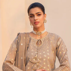 AR skin zari jacquard