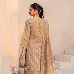 AR skin zari jacquard