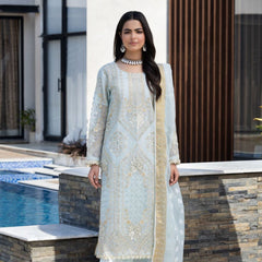 AR sky blue karandi net