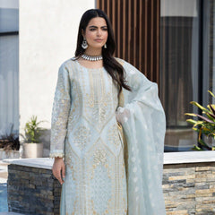 AR sky blue karandi net