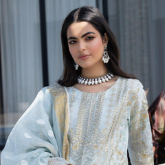 AR sky blue karandi net